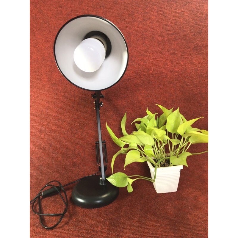 đèn Sunhouse chống cận