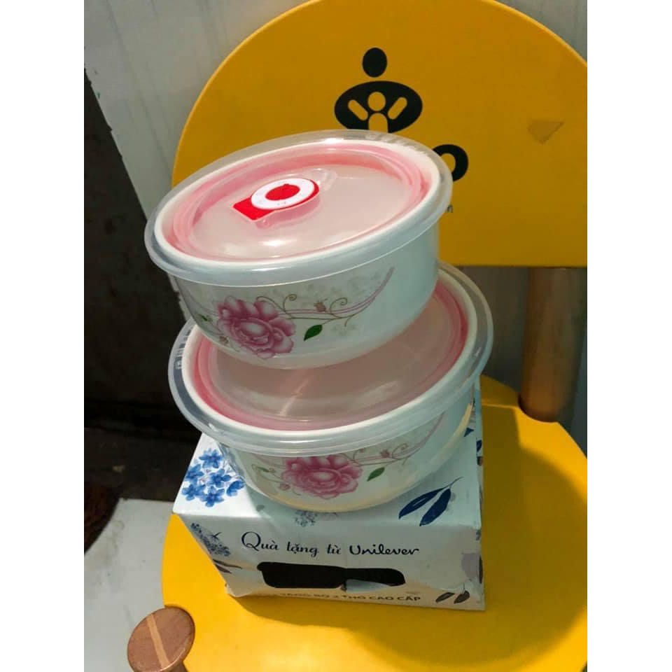 Bộ 2 thố sứ in hoa hồng nắp chân không | BigBuy360 - bigbuy360.vn
