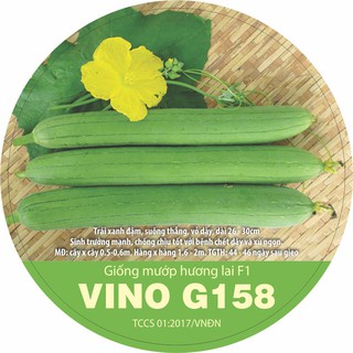 HẠT giống mướp hương lai f1 VINO G158, mướp hương trái dài