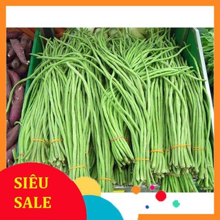 20g Hạt giống Đậu đũa (tặng gói kích nẩy mầm và hướng dẫn) VIETPHAT