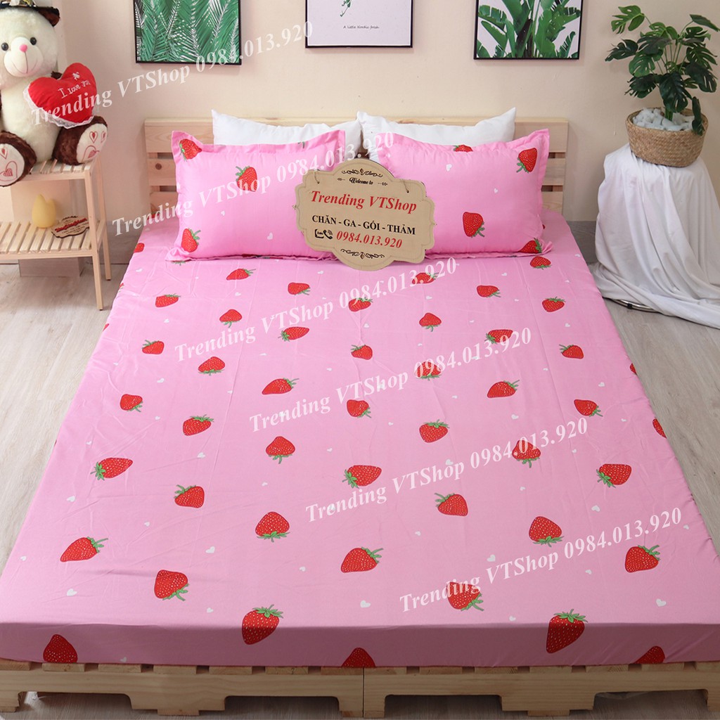 Vỏ gối nằm bơ xanh Poly Cotton họa tiết dễ thương, giá cực mềm 45x65cm