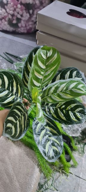 Cụm hoa hồng nhí