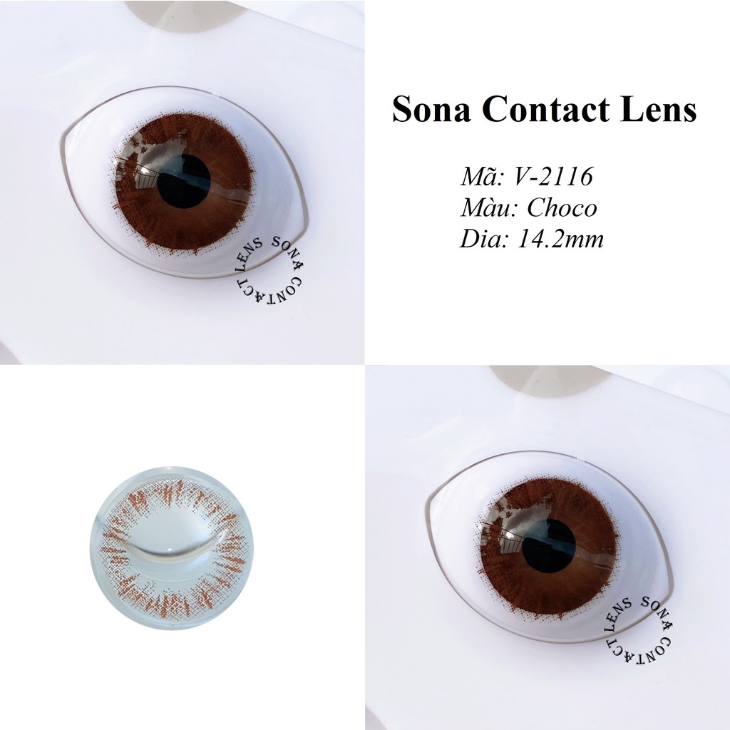 Lens Choco V-2116 [EXP 9/2023] (kính áp tròng Sona Hàn Quốc)