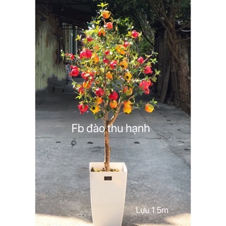 cây lựu giả cao 1m4 ko kèm chậu( hình ảnh và video thật),--