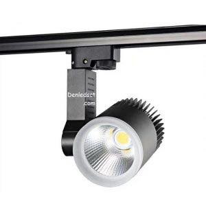 rọi ray mini 30w