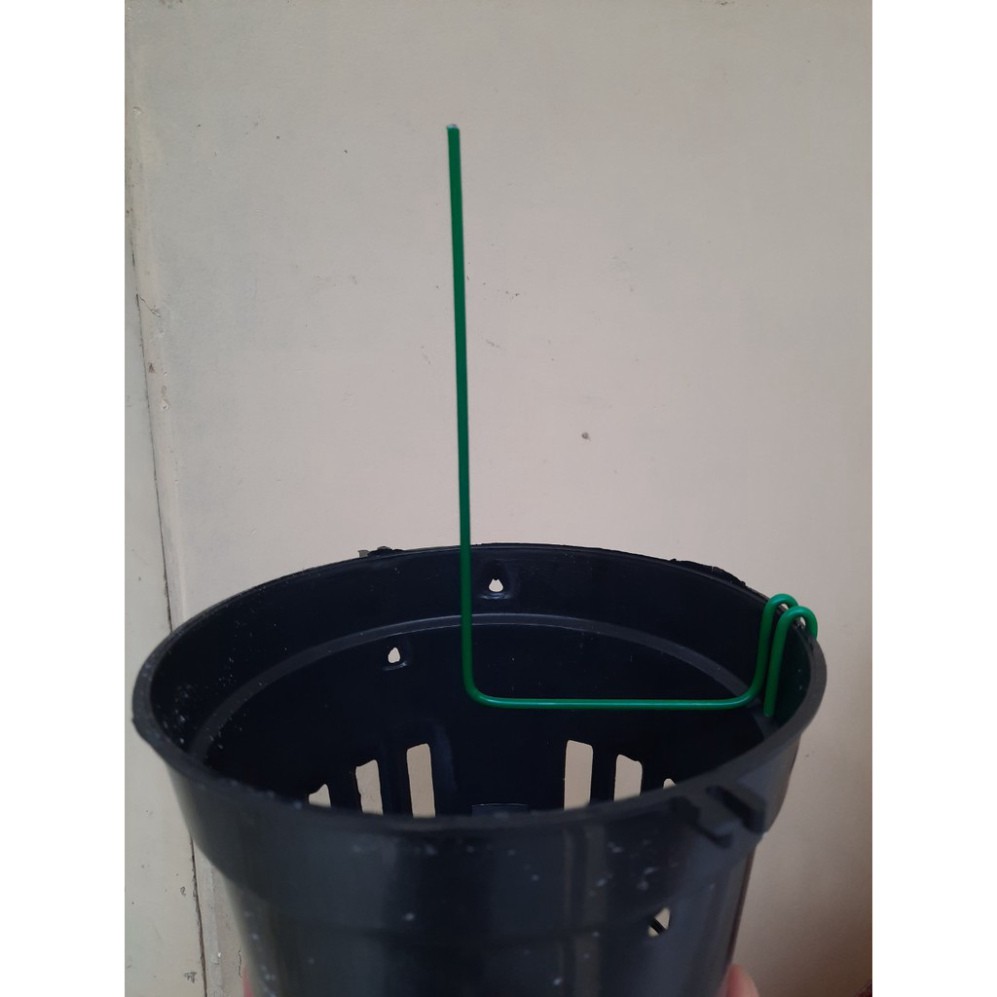 Que kẹp chậu giữ kie  theo hướng mong muốn