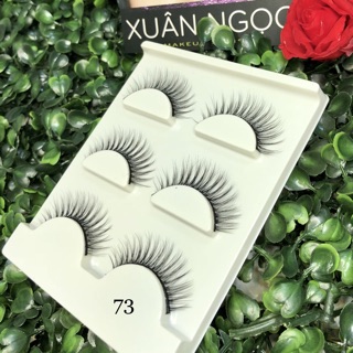 Combo 10h mi chồn