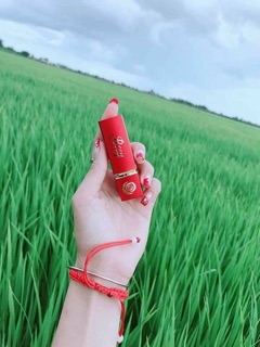 Son tươi không chì Rosy