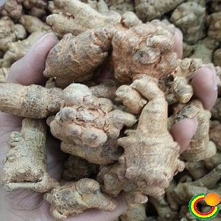 Tam thất bắc loại 8 củ 200g