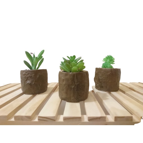 Cây Sen Đá mini nhân tạo Wooden Pot cao 12-15 cm tặng kèm chậu Concrete giả gỗ