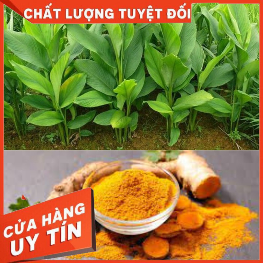 tinh bột nghệ nguyên chất hộp 1kg chất lượng uy tín mua 5 hộp tặng 1 chai mật ong 350ml