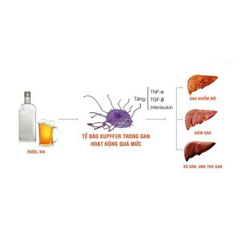 Giải độc gan Nacogin (SP Viện Hàn Lâm KHCN) | BigBuy360 - bigbuy360.vn