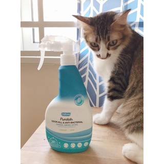 xịt khử mùi và chống khuẩn Cature 500ml dành cho chó/mèo/thỏ/bọ/hamster/sóc/nhím