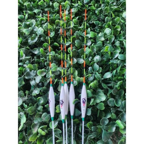 Phao Hố Đấu 9 nất và 15 nất Tự Cân Chì