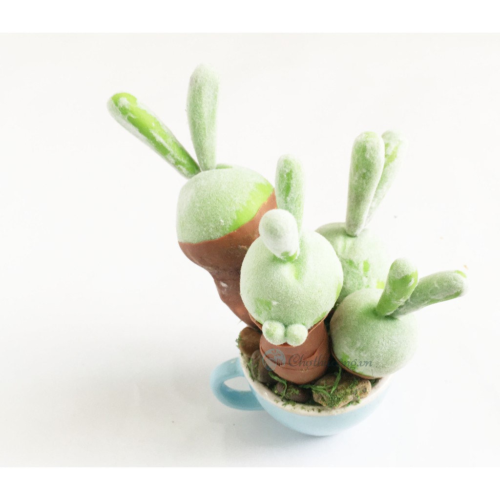 Chậu hoa đất sét mini Nhật Thái - Sen đá / xương rồng siêu cute decor handmade