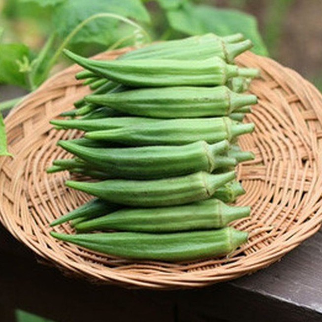 Hạt giống đậu bắp cao sản Nam Bộ gói 50gr