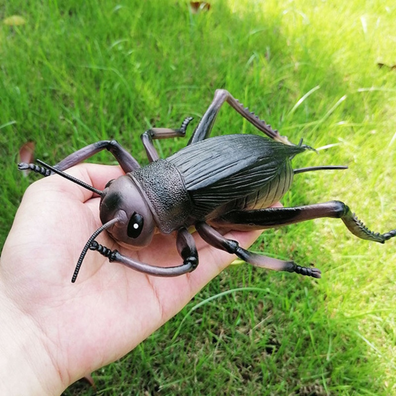 Đồ chơi mô hình côn trùng hoang dã thực tế dùng làm đạo cụ học tập cho bé

