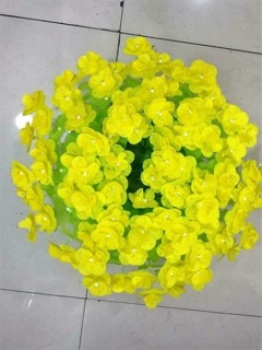 Hoa gấm cánh tròn