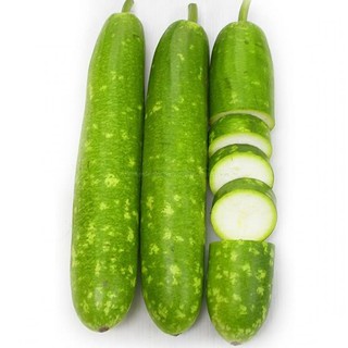 hạt giống cây bầu sai trái dài (A1.303| 10 hạt ) rau