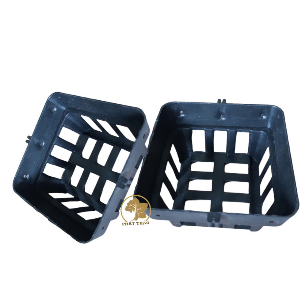 Set   Chậu nhựa vuông trồng lan treo chậu vanda