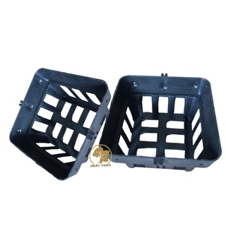 Set Chậu nhựa vuông trồng lan treo chậu vanda