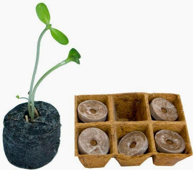 Combo 10 viên nén sơ dừa ươm hạt