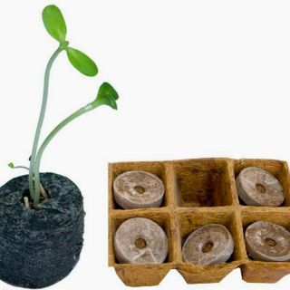 combo 10 viên nén sơ dừa ươm hạt