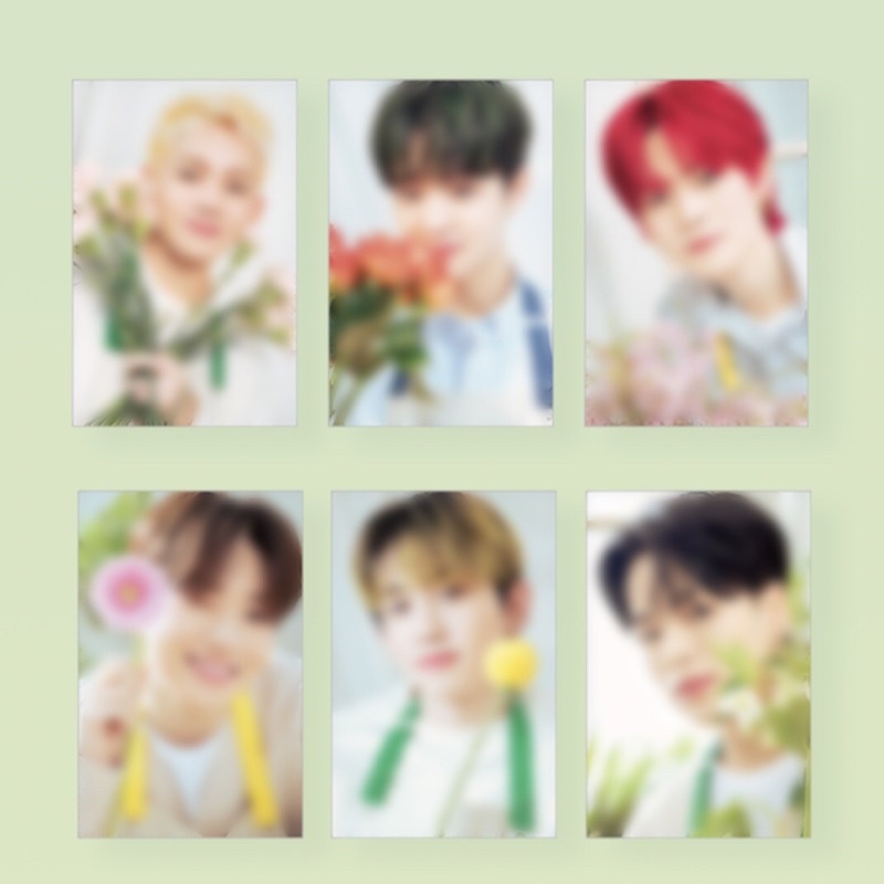 Treasure disk photo binder