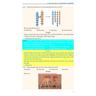 Làm Chủ Đề Thi Trắc Nghiệm Sinh Học