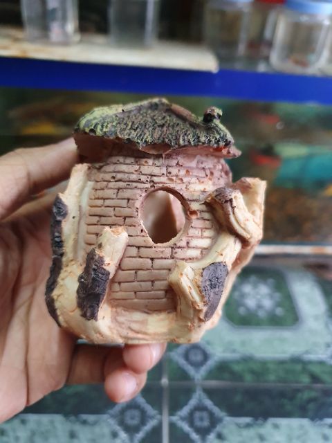 CẢNH NHÀ TRANG TRÍ HỒ CÁ NON BỘ CAO 8CM