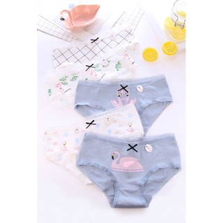 Block 5 cái -quần cotton hình họa con thiên nga