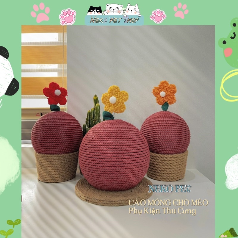 Cào Móng Cho Mèo Hình Cây Xương Rồng