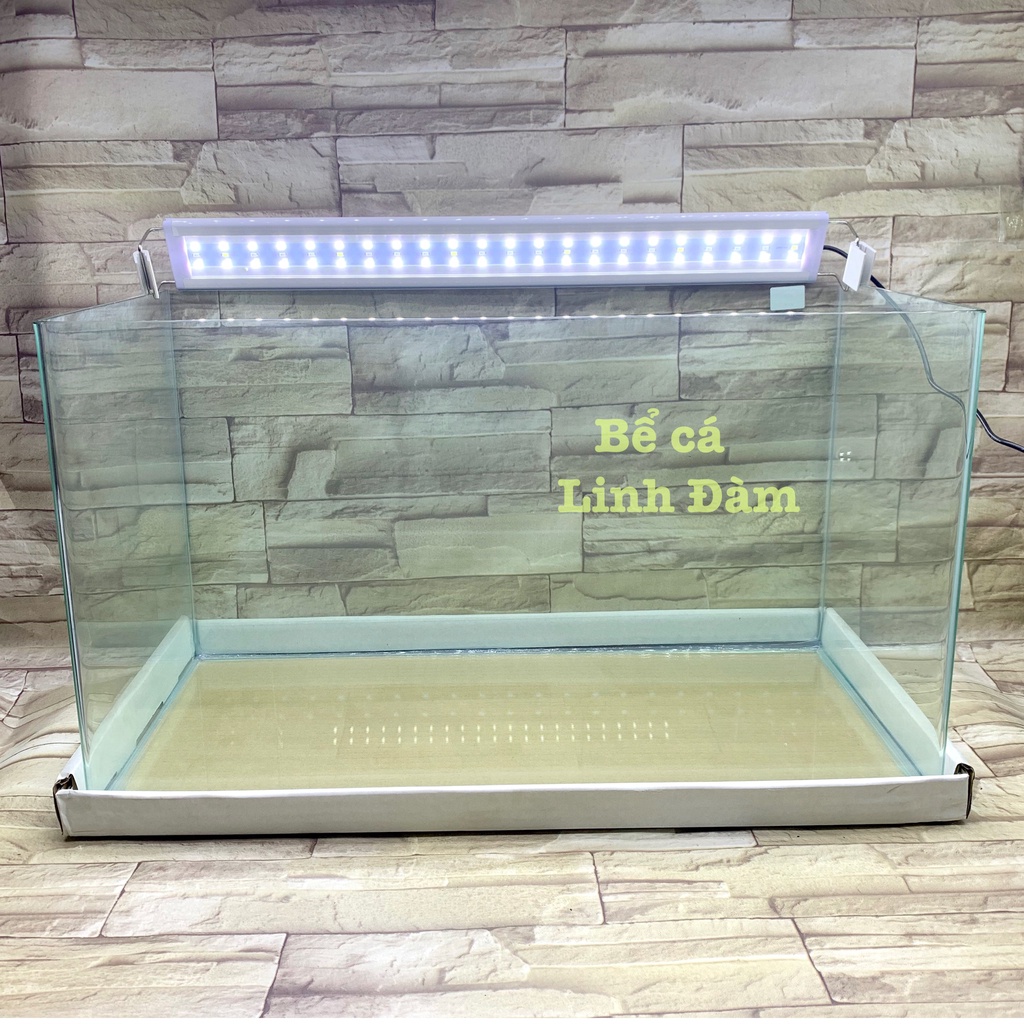 Bể Cá Chữ Nhật 60cm Kính Đúc Bo Góc-Bể Cá Thủy Sinh