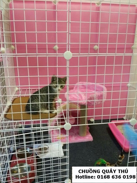 CHUỒNG QUÂY CHÓ MÈO SIÊU HOT.