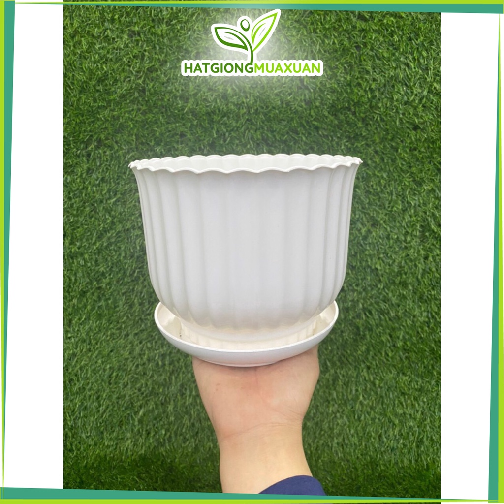Chậu Nhựa Để Bàn, Chậu Sọc Tròn kt 14cm-17cmTrồng Cây Hoa Kiểng