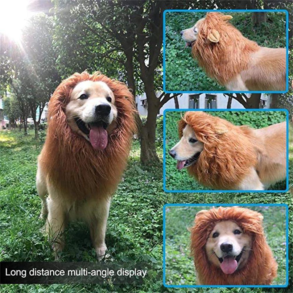Trang Phục Hóa Trang Đầu Sư Tử Dễ Thương Cho Thú Cưng