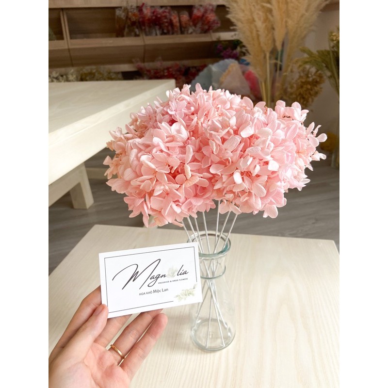 Hoa cẩm tú cầu khô Đồ decor trang trí tết nhà cửa