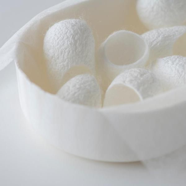 Kén tằm The Cocoon Lam Dong 30pcs | BigBuy360 - bigbuy360.vn