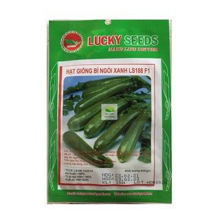 Hạt giống bí ngồi xanh 10 hạt