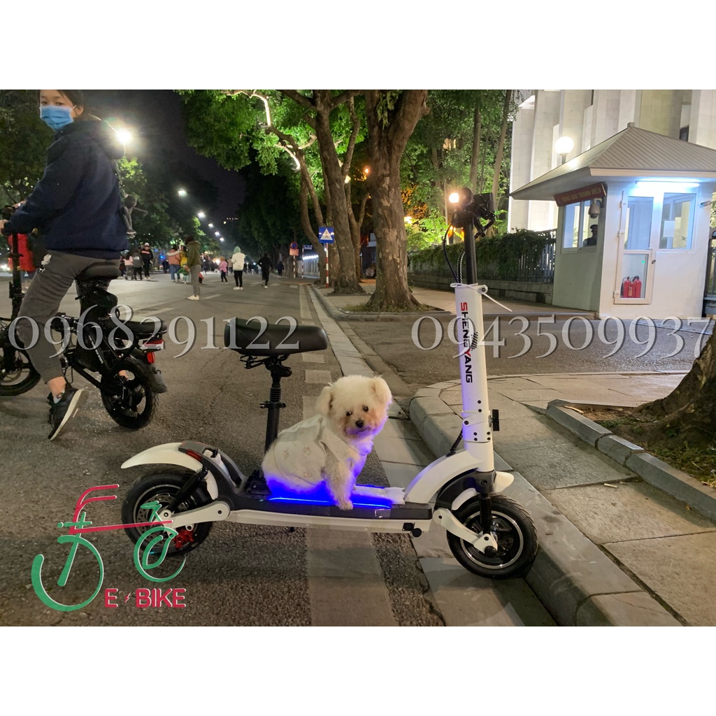 Xe điện mẫu mới 2022, Scooter mini (7 giảm xóc, hàng xịn, đảm bảo chất lượng)