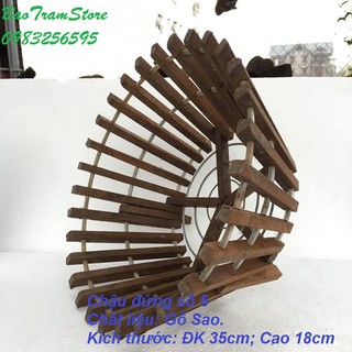 Chậu trồng lan bằng gỗ Sao mẫu chậu đứng số 5 Đường kính 35cm cao 18cm
