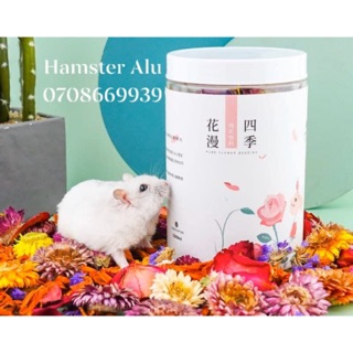 Hoa cỏ khô Jonsanty