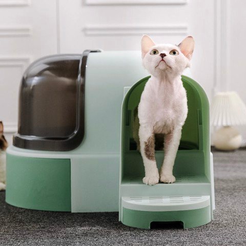 Chậu cát Space cho mèo