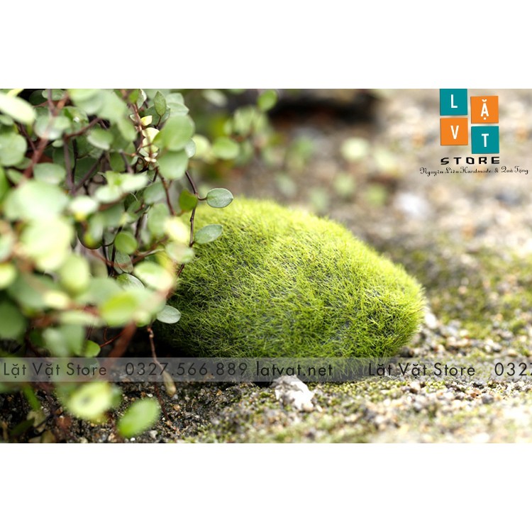 Mô Hình Đá Rêu Phong Micro Dùng Để Trang Trí Vi Tiểu Cảnh, Trang Trí Phong Cảnh - Đơn Giản Chân Thật Giá Rẻ Bất Ngờ