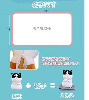 [SẴN HÀNG ] ảnh thật- chăn gối mèo 3in1