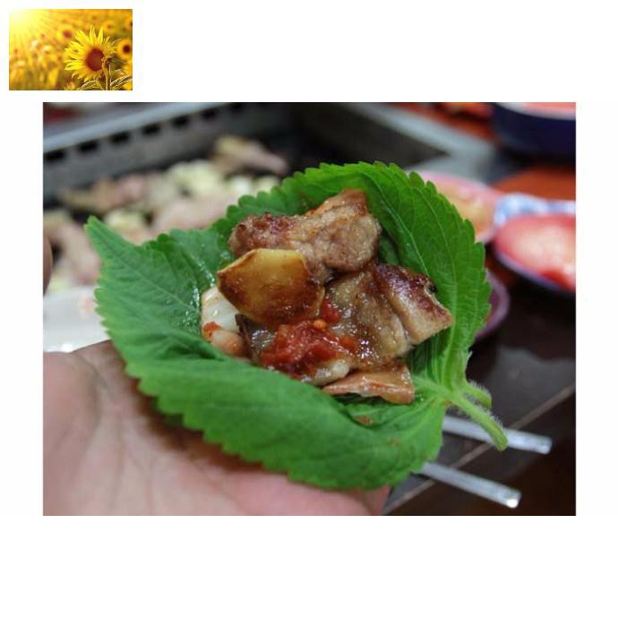 Hạt Giống Lá Vừng / Mè Hàn Quốc (1 Gr) - Dinh Dưỡng, Năng Suất Cao - MUA 3 TẶNG 1 CÙNG LOẠI
