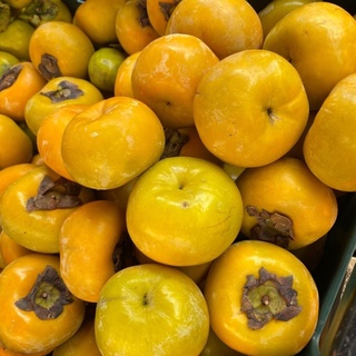 Hồng Giòn - Hồng Vuông