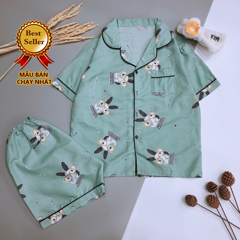 Đồ Bộ Pijama Ngắn Hình Mới Vải Kate Thái Mềm Mịn BC05 | BigBuy360 - bigbuy360.vn