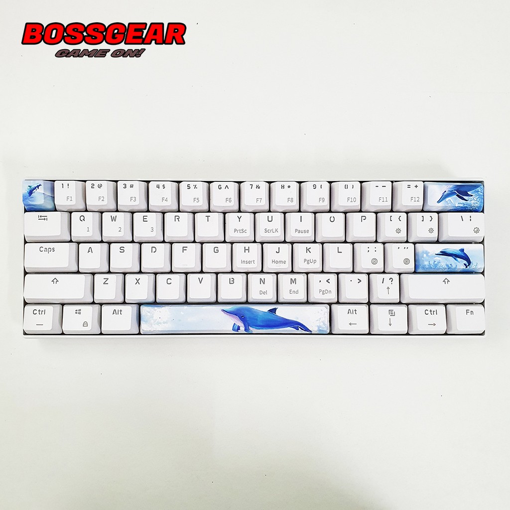 Bộ Keycap 4 Nút PBT in Dye-sub 5 mặt cực đẹp