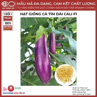 Hạt Giống Cà Tím Dài Cali F1 - Quả dài màu tím huế, ruột trắng không sơ, ăn ngon